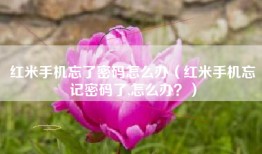 红米手机忘了密码怎么办（红米手机忘记密码了,怎么办？）