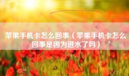 苹果手机卡怎么回事（苹果手机卡怎么回事是因为进水了吗）