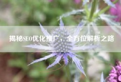 揭秘SEO优化推广，全方位解析之路