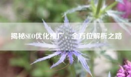 揭秘SEO优化推广，全方位解析之路