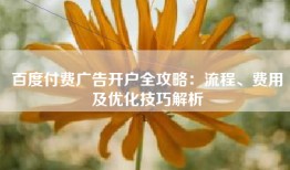 百度付费广告开户全攻略：流程、费用及优化技巧解析