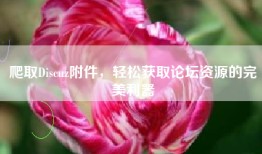爬取Discuz附件，轻松获取论坛资源的完美利器