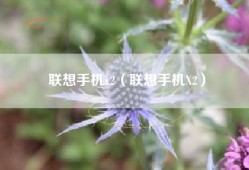 联想手机x2（联想手机X2）