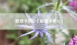 联想手机x2（联想手机X2）