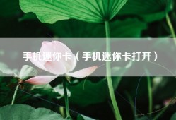 手机迷你卡（手机迷你卡打开）