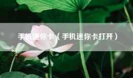手机迷你卡（手机迷你卡打开）