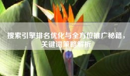 搜索引擎排名优化与全方位推广秘籍，关键词策略解析