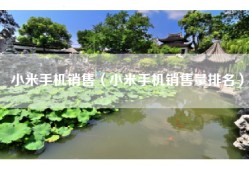 小米手机销售（小米手机销售量排名）