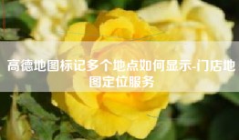 高德地图标记多个地点如何显示-门店地图定位服务