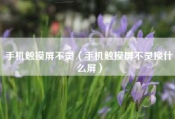 手机触摸屏不灵（手机触摸屏不灵换什么屏）