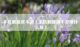 手机触摸屏不灵（手机触摸屏不灵换什么屏）