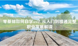 零基础如何自学seo？从入门到精通完整职业发展解读
