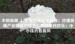 平阴新闻 ｜ 文化市场安全检查；玫瑰高端产业园成功供水；腰鼓来村民乐；小小挂历看新风