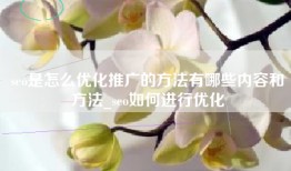 seo是怎么优化推广的方法有哪些内容和方法_seo如何进行优化