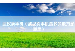 武汉卖手机（武汉卖手机最多的地方是哪里）