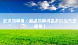 武汉卖手机（武汉卖手机最多的地方是哪里）