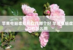 苹果电脑虚拟机软件哪个好 苹果电脑虚拟机怎么用