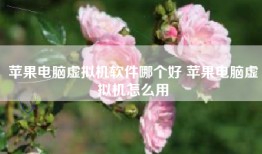 苹果电脑虚拟机软件哪个好 苹果电脑虚拟机怎么用