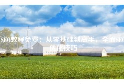 SEO教程免费：从零基础到高手，全面SEO优化技巧
