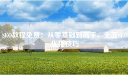 SEO教程免费：从零基础到高手，全面SEO优化技巧