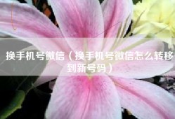 换手机号微信（换手机号微信怎么转移到新号码）