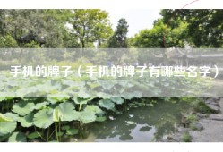 手机的牌子（手机的牌子有哪些名字）