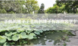 手机的牌子（手机的牌子有哪些名字）