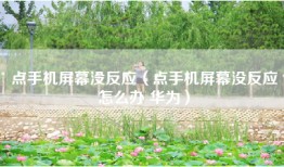 点手机屏幕没反应（点手机屏幕没反应怎么办 华为）