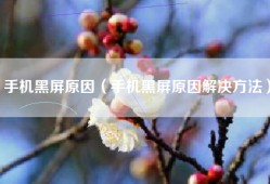 手机黑屏原因（手机黑屏原因解决方法）