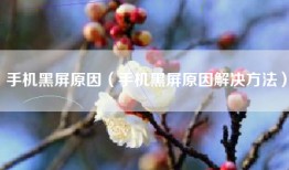手机黑屏原因（手机黑屏原因解决方法）