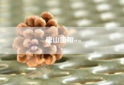 唐山黑帽seo