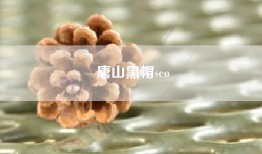 唐山黑帽seo