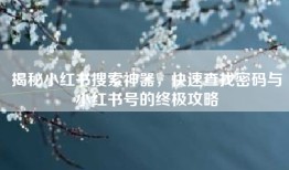 揭秘小红书搜索神器，快速查找密码与小红书号的终极攻略