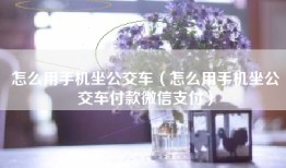 怎么用手机坐公交车（怎么用手机坐公交车付款微信支付）