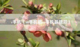 v手机（vo手机最vo手机最新款）