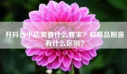 开抖音小店需要什么要求？和商品橱窗有什么区别？