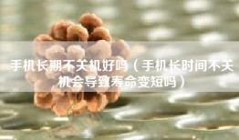 手机长期不关机好吗（手机长时间不关机会导致寿命变短吗）
