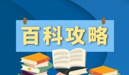 为什么ce修改器手机版进不去？ce修改器怎么用？ce修改器手机版「为什么ce修改器手机版进不去？ce修改器怎么用？」
