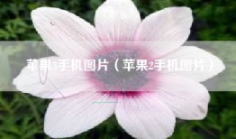 苹果3手机图片（苹果2手机图片）
