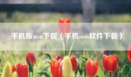 手机版msn下载（手机msn软件下载）