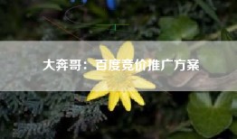 大奔哥：百度竞价推广方案