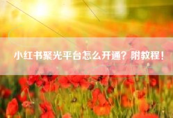 小红书聚光平台怎么开通？附教程！