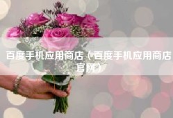 百度手机应用商店（百度手机应用商店官网）