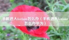 手机进入fastboot怎么办（手机进入fastboot怎么办华为）