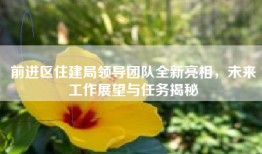 前进区住建局领导团队全新亮相，未来工作展望与任务揭秘