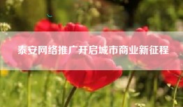 泰安网络推广开启城市商业新征程