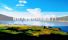 硅谷大佬都转向特朗普了？