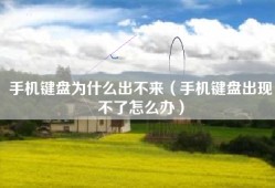 手机键盘为什么出不来（手机键盘出现不了怎么办）