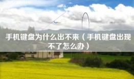 手机键盘为什么出不来（手机键盘出现不了怎么办）