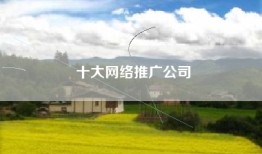 十大网络推广公司